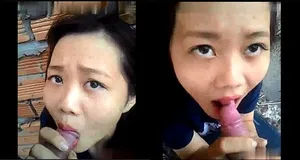 Gấu mút cò ở vườn sau nhà